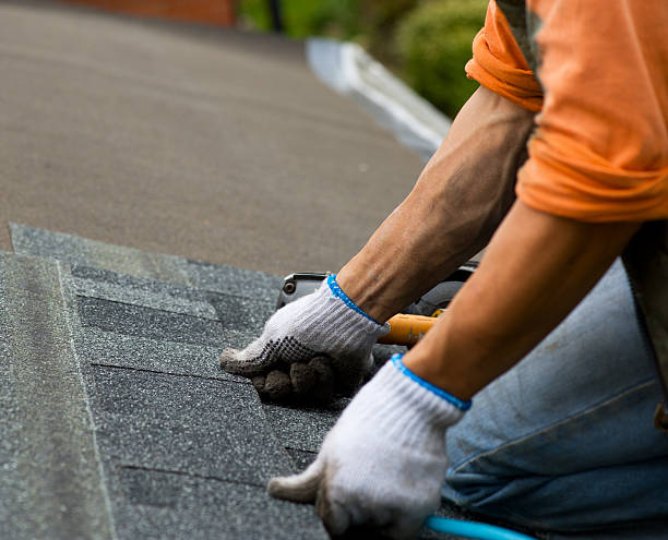 Best Roof Gutter Cleaning  in Start, LA